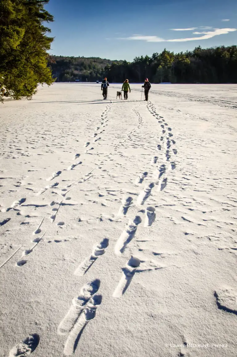 3 adults and a dog walk away across a frozen lake covered in snow. Evergreen trees surround the lake. The three figures have created a path with their footprints through the snow.