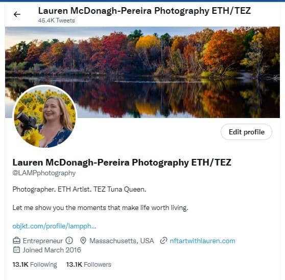 A screenshot of the Twitter bio of Lauren McDonagh-Pereira Photography