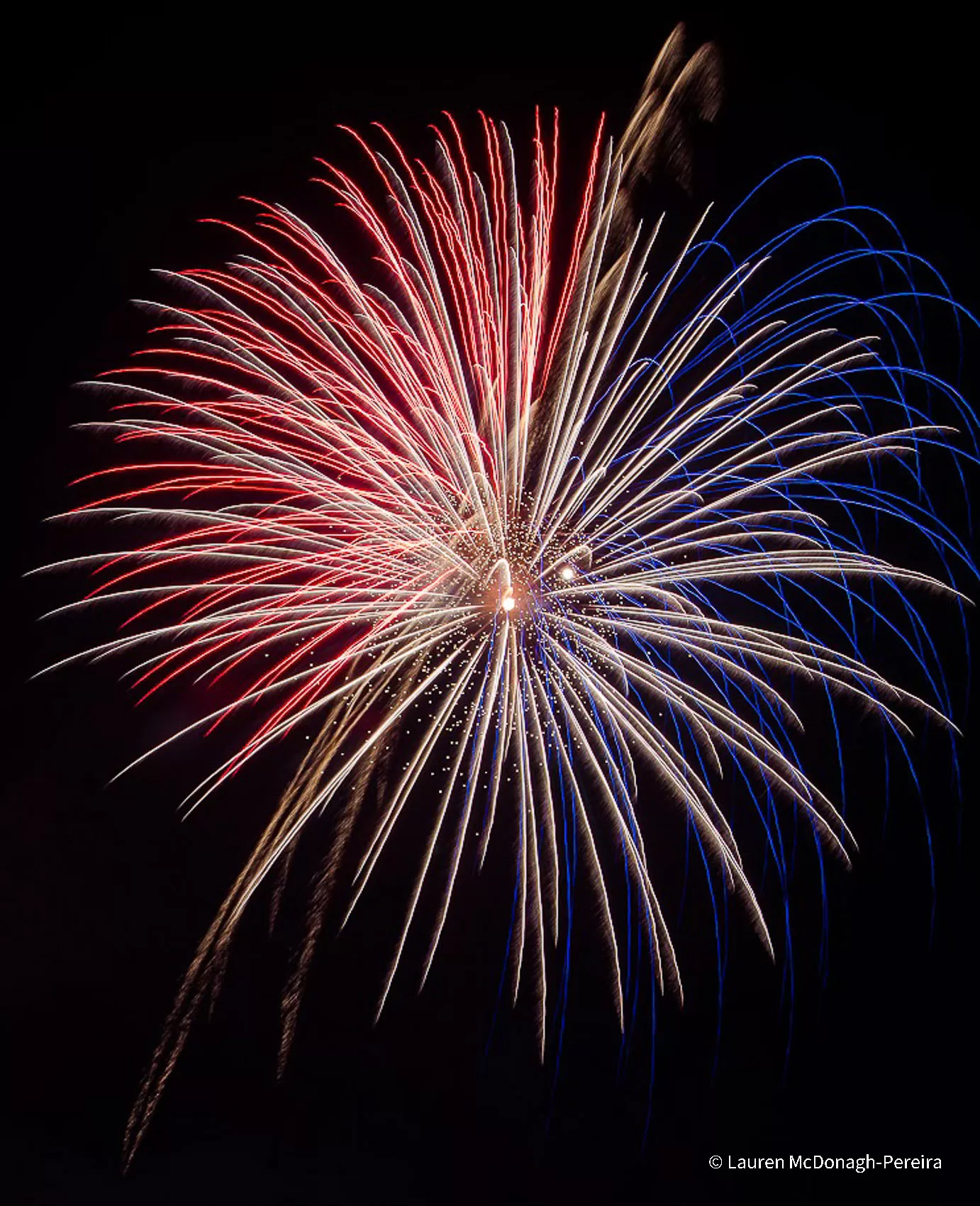 A red white and blue firework in the sky.