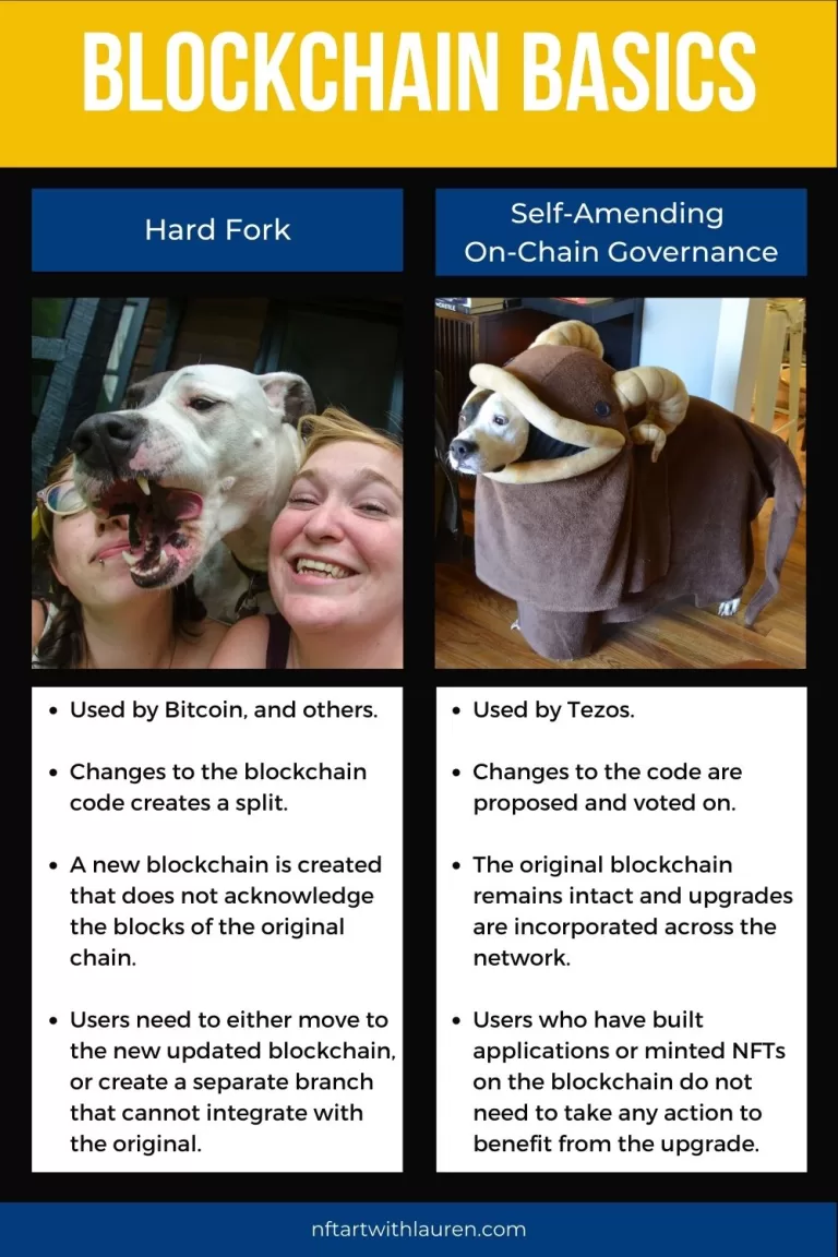 An infographic explaining the difference between a block chain hard fork and a block chain that uses self-amending on-chain governance.