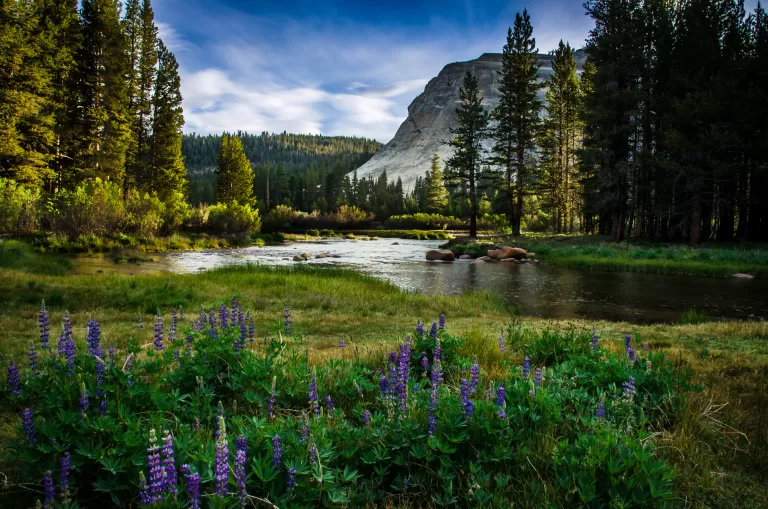 A photograph of the dawn hour at Tuolumne Meadows in Yosemite National Park.