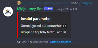 A screenshot of a Midjourney error message returned after an incorrect parameter was entered. 