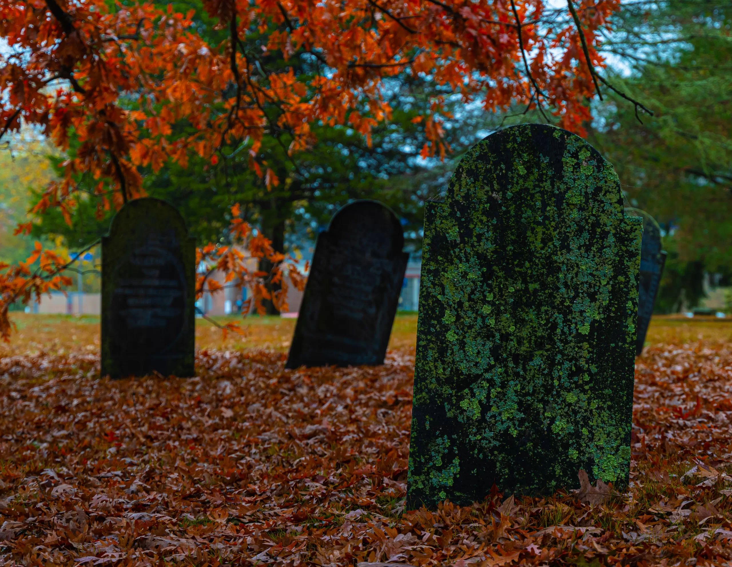 Grave Beauty: An NFT Photography Collection of 18th Century Graves in ...