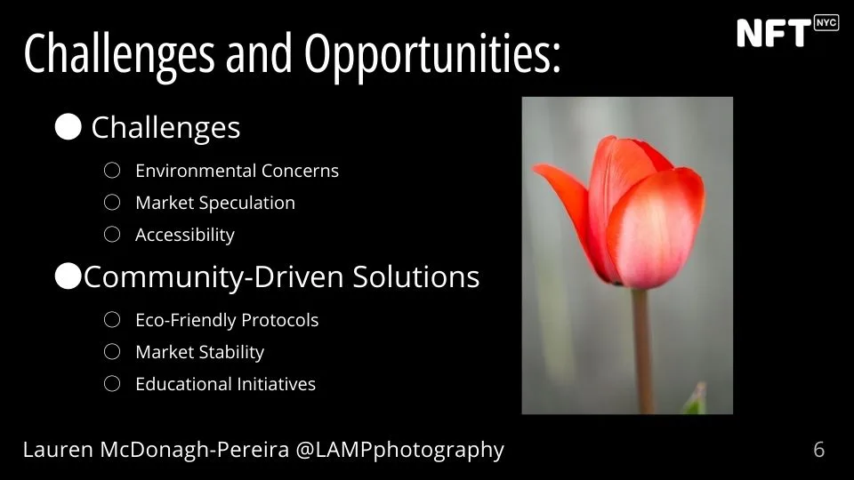 A slide showing the image of a tulip. Text reads "Challenges and Opportunities: Challenges Environmental Concerns Market Speculation Accessibility Community-Driven Solutions Eco-Friendly Protocols Market Stability Educational Initiatives"